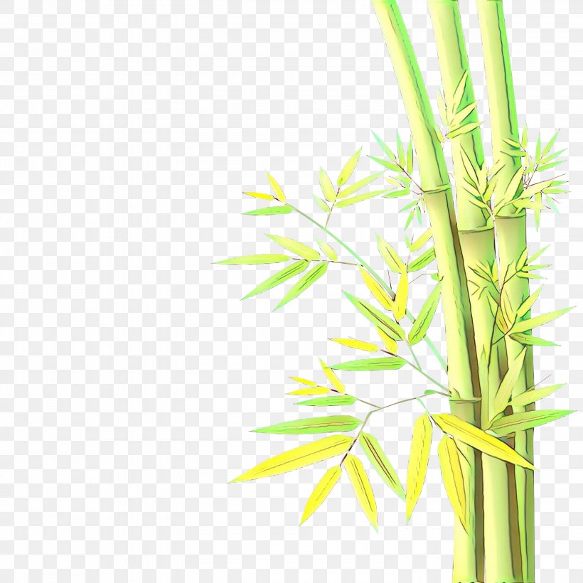 Green Plant Grass Leaf Plant Stem, PNG, 3000x3000px, Cartoon, Bamboo, Flower, Grass, Grass Family Download Free