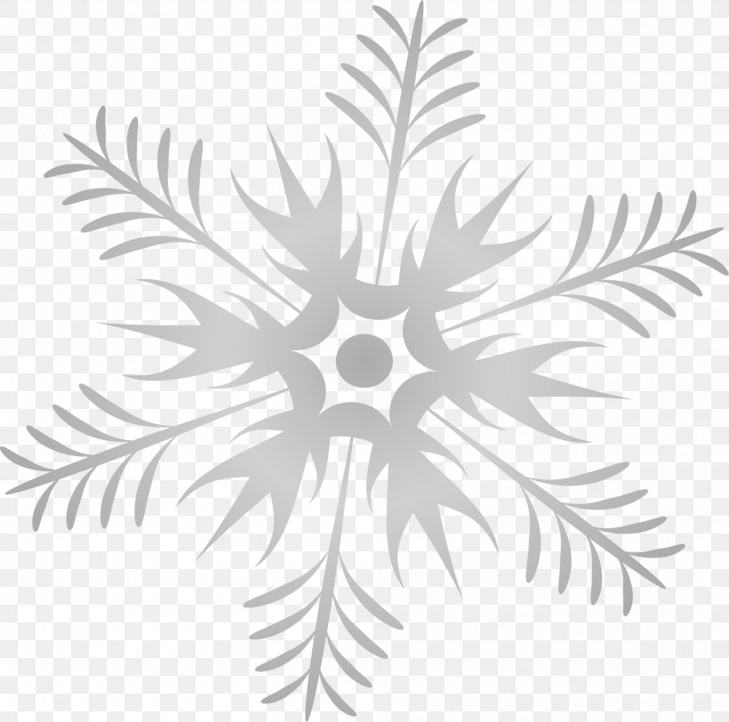Grey Black And White Google Images Snowflake, PNG, 2000x1981px, Grey, Area, Black, Black And White, Branch Download Free