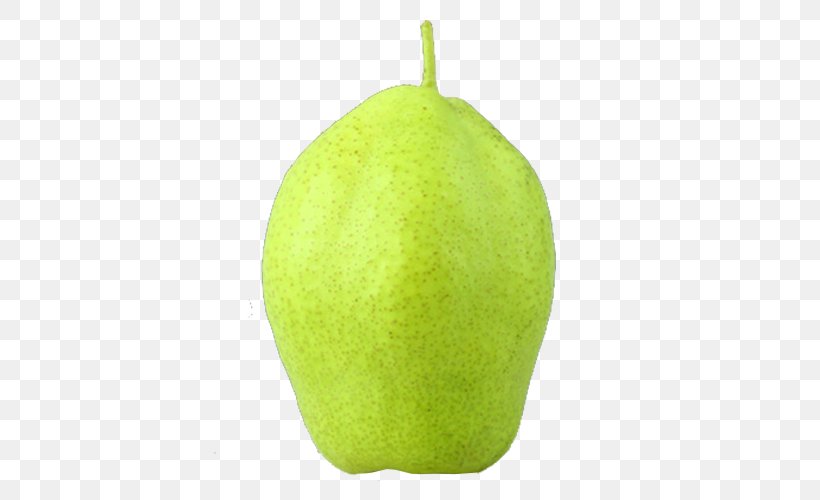 Pear Lime Auglis Green, PNG, 600x500px, Pear, Auglis, Citron, Citrus, Color Download Free