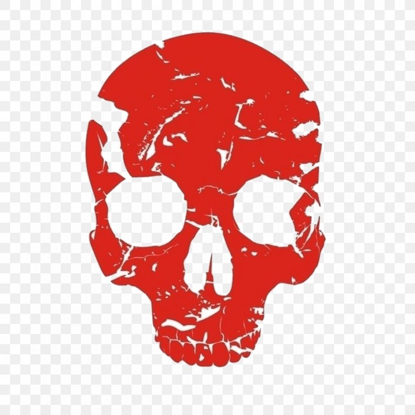 Red Skull Human Skeleton Bone, PNG, 907x907px, Red Skull, Bone, Color, Drawing, Human Skeleton Download Free