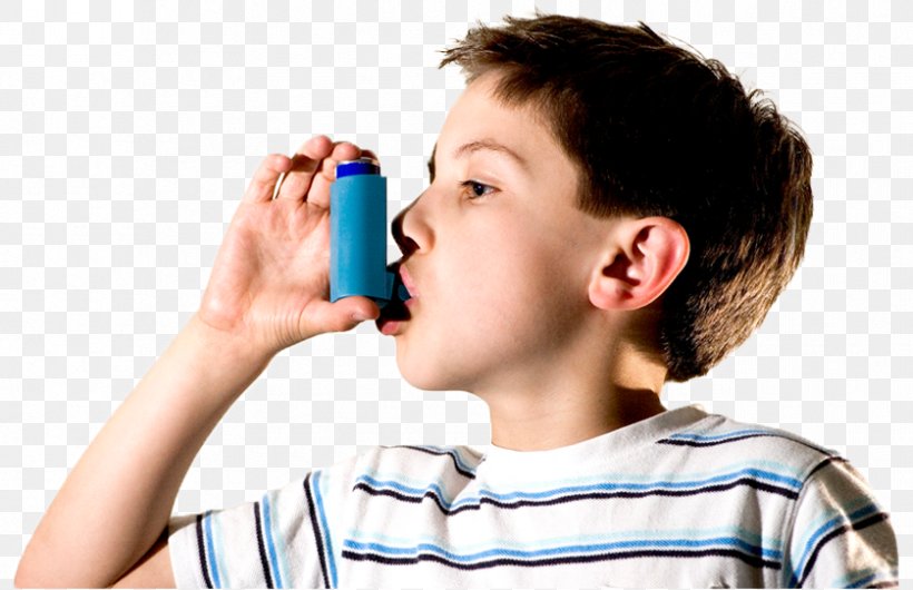 Asthma In Australia Child Inhaler Medicine, PNG, 838x542px, Asthma, Allergic Asthma, Allergy, Audio, Audio Equipment Download Free