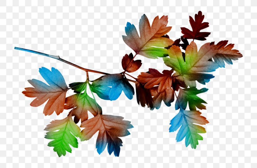 Clip Art Leaf Image Painting, PNG, 1024x670px, Leaf, Autumn, Blue, Branch, Flower Download Free