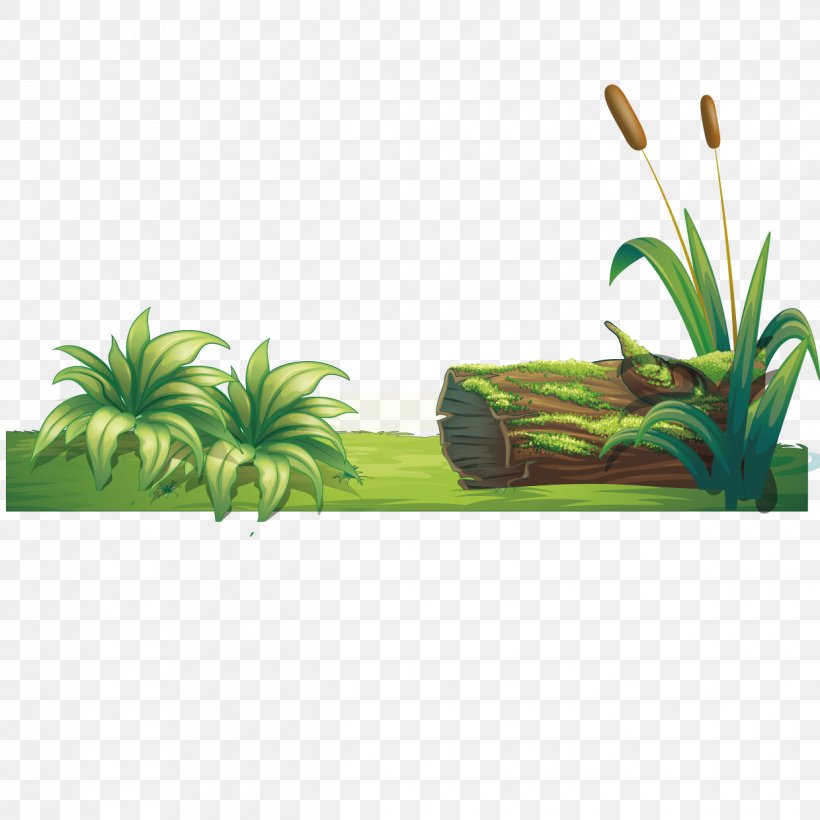 Vector Grass, PNG, 1240x1240px, Lawn, Computer Graphics, Designer, Grass, Grass Family Download Free