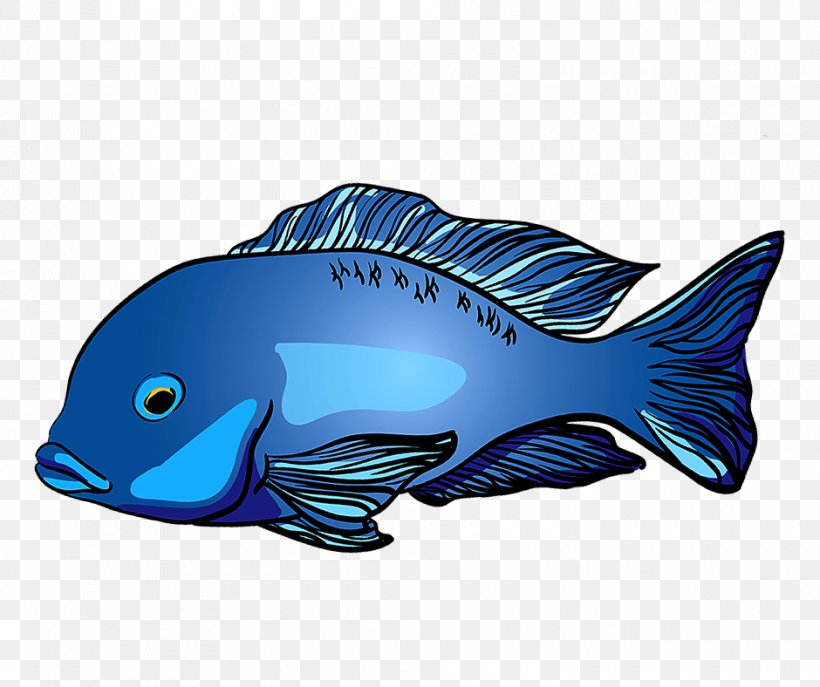 Fish Cartoon, PNG, 940x788px, Cichlid, Aquarium, Blue Dolphin Cichlid, Bonyfish, Chrysiptera Download Free