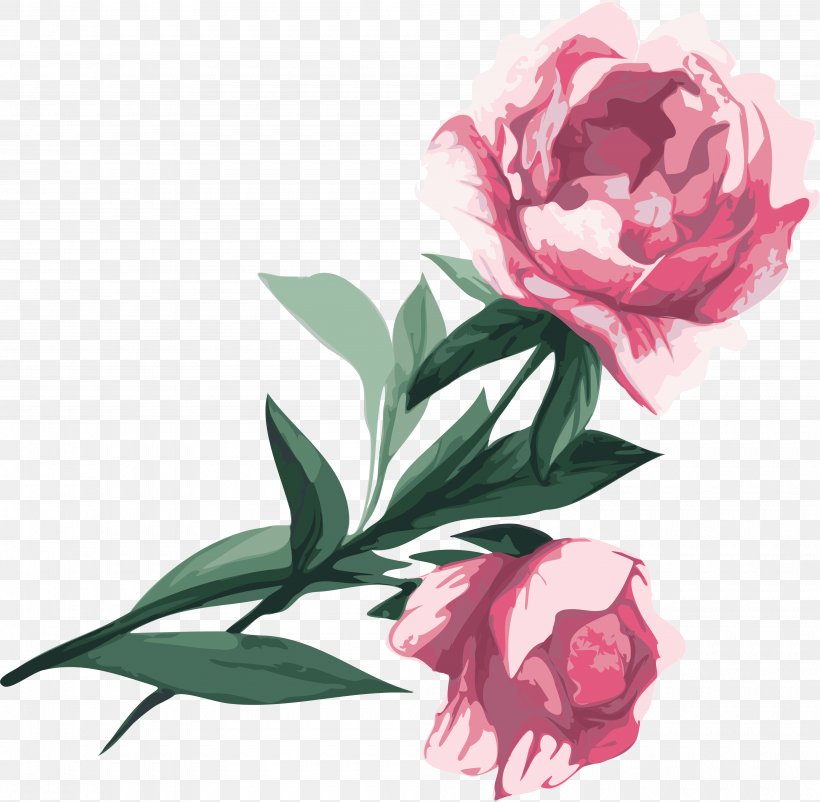Flower Garden Roses Peony Clip Art, PNG, 4000x3913px, Flower, Camellia, Centifolia Roses, Cut Flowers, Floral Design Download Free