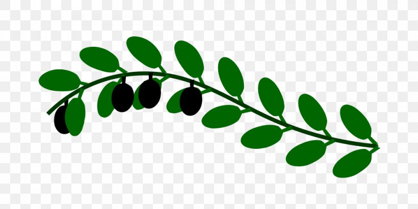 Olive Branch Doves As Symbols Clip Art, PNG, 1000x500px, Olive Branch, Branch, Document, Doves As Symbols, Drawing Download Free