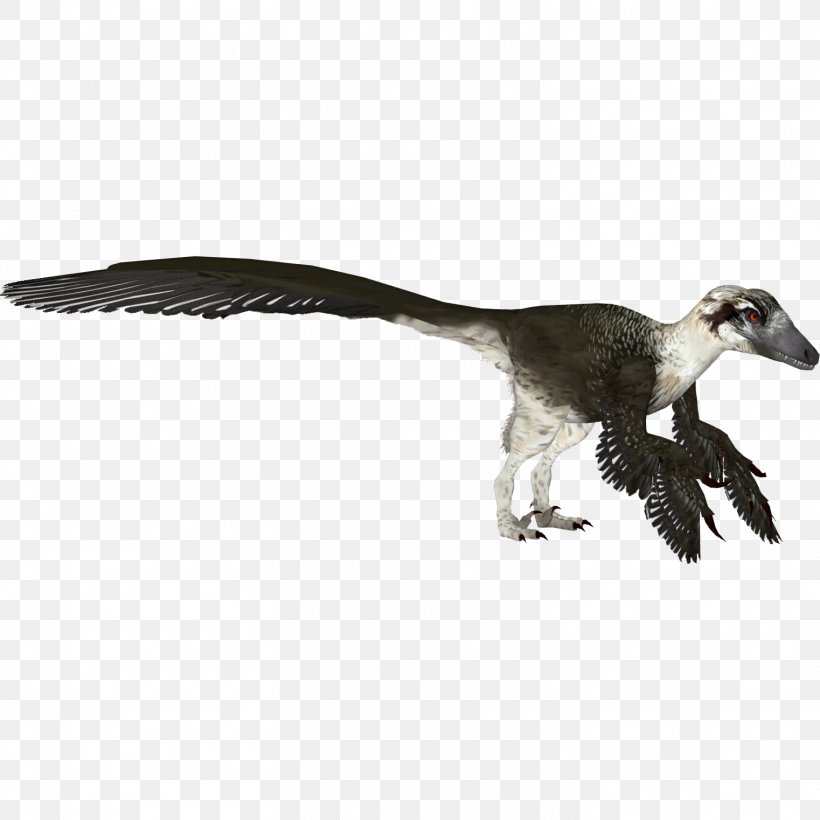 Zoo Tycoon 2 Velociraptor Dakotaraptor Utahraptor, PNG, 1522x1522px, Zoo Tycoon 2, Animal, Austroraptor, Beak, Bird Download Free