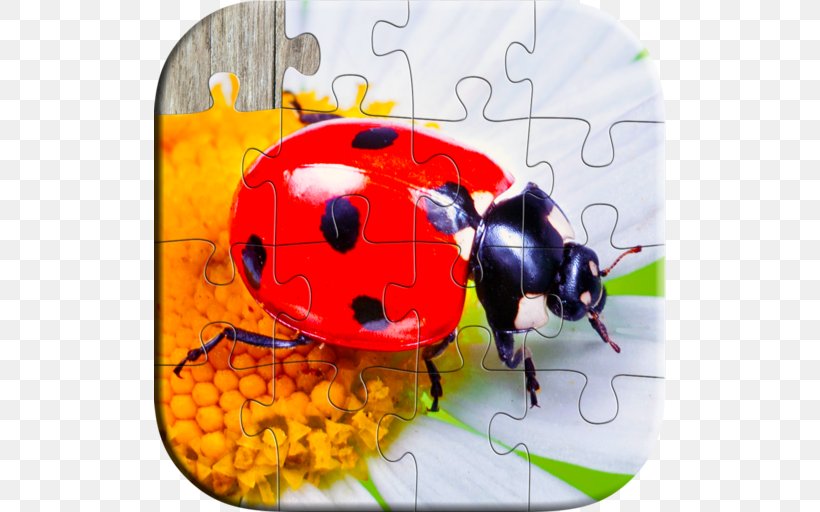Android Lines & Puzzles, PNG, 512x512px, Android, Arthropod, Beetle, Insect, Invertebrate Download Free
