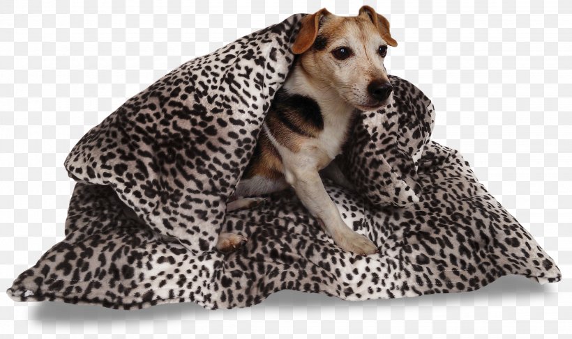 Dog Breed Duvet Companion Dog Tog, PNG, 2260x1343px, Dog Breed, Amazoncom, Bed, Breed, Companion Dog Download Free