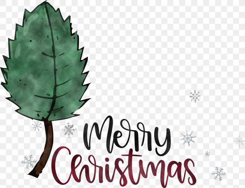 Merry Christmas, PNG, 3000x2308px, Merry Christmas, Biology, Leaf, Plant Structure, Plants Download Free