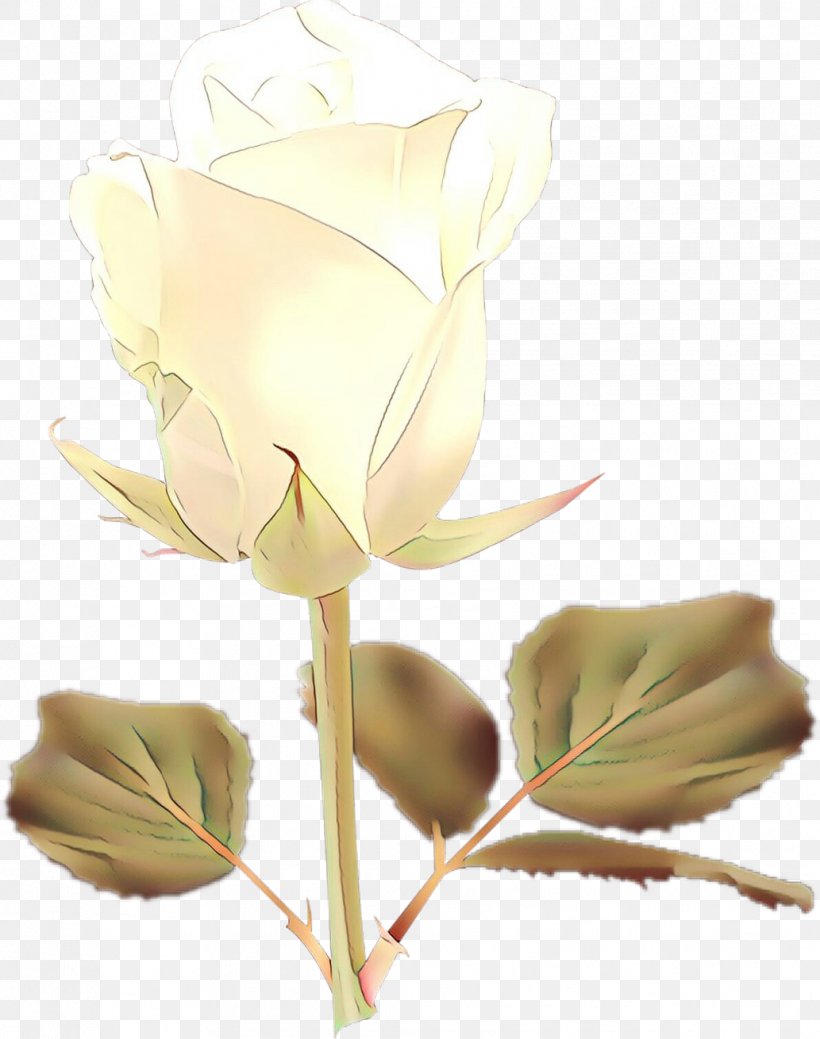 Rose, PNG, 1033x1310px, Cartoon, Bud, Flower, Flowering Plant, Pedicel Download Free