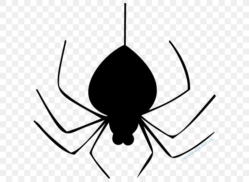 Spider Coloring Book Line Art Sticker Clip Art, PNG, 600x600px, Spider, Adhesive, Animal, Arachnid, Artwork Download Free