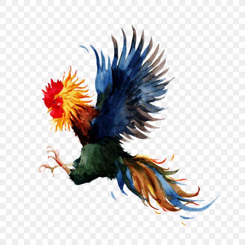 Chicken Gamecock Rooster Icon, PNG, 1000x1000px, Chicken, Beak, Bird, Cockfight, Feather Download Free