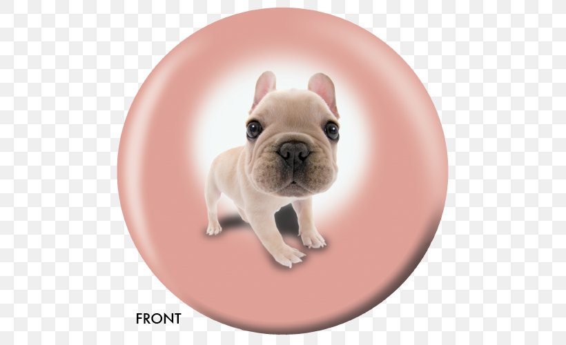 French Bulldog Toy Bulldog Puppy Dog Breed Companion Dog, PNG, 500x500px, French Bulldog, Ball, Boston Terrier, Bowling, Bowling Balls Download Free