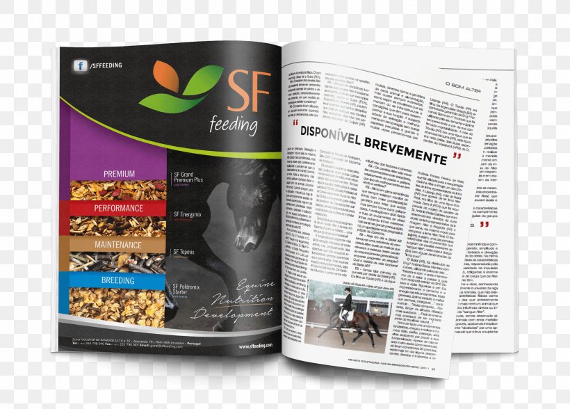 Horse Advertising Quality Nutrition Brochure, PNG, 2300x1650px, Horse, Advertising, Brand, Brochure, Magazine Download Free