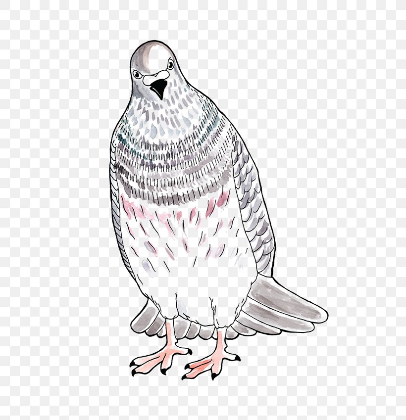 Owl Illustration Line Art Feather Beak, PNG, 600x849px, Owl, Beak, Bird, Bird Of Prey, Chicken Download Free