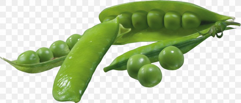 Pea Icon Clip Art, PNG, 3703x1593px, Pea, Bell Pepper, Broccoli, Cabbage, Carrot Download Free