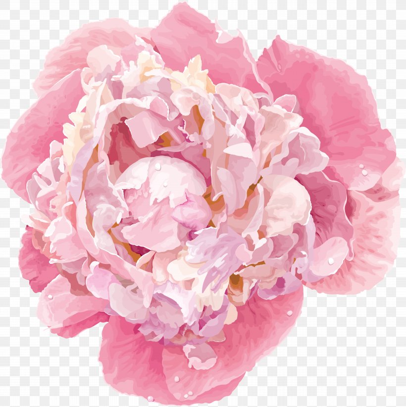 Chinese Peony Flower Vector Graphics Clip Art, PNG, 8406x8430px, Peony, Chinese Peony, Cut Flowers, Floral Design, Flower Download Free