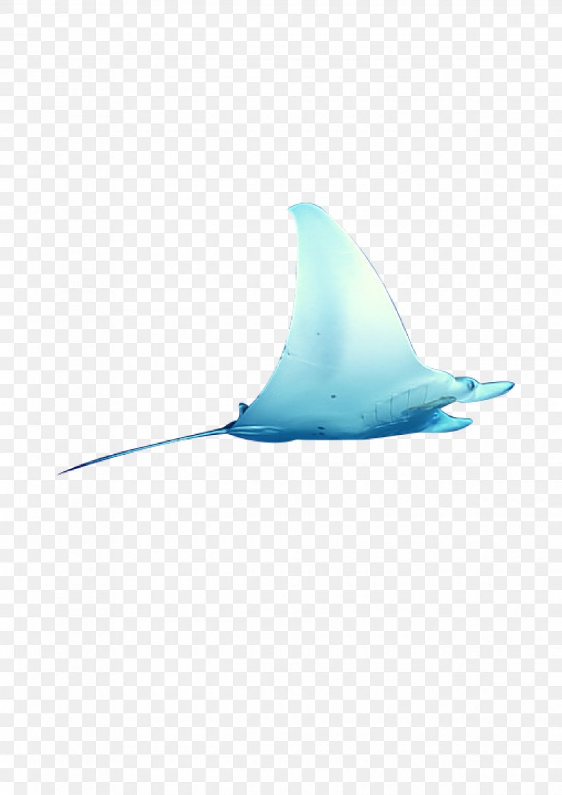 Shark Turquoise Dolphin Pattern, PNG, 2480x3508px, Shark, Aqua, Azure, Blue, Cartilaginous Fish Download Free