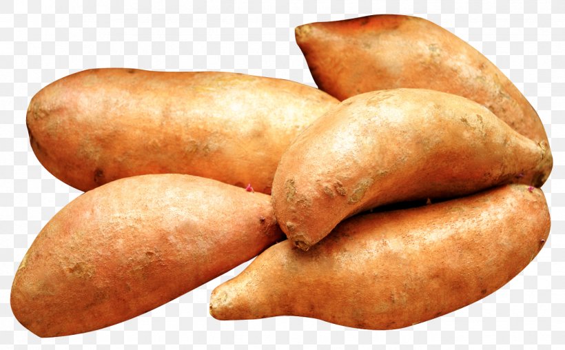 Sweet Potato Yam Dioscorea Mexicana, PNG, 1338x830px, Dioscorea Mexicana, Bockwurst, Boudin, Breakfast Sausage, Ciljno Nalaganje Download Free