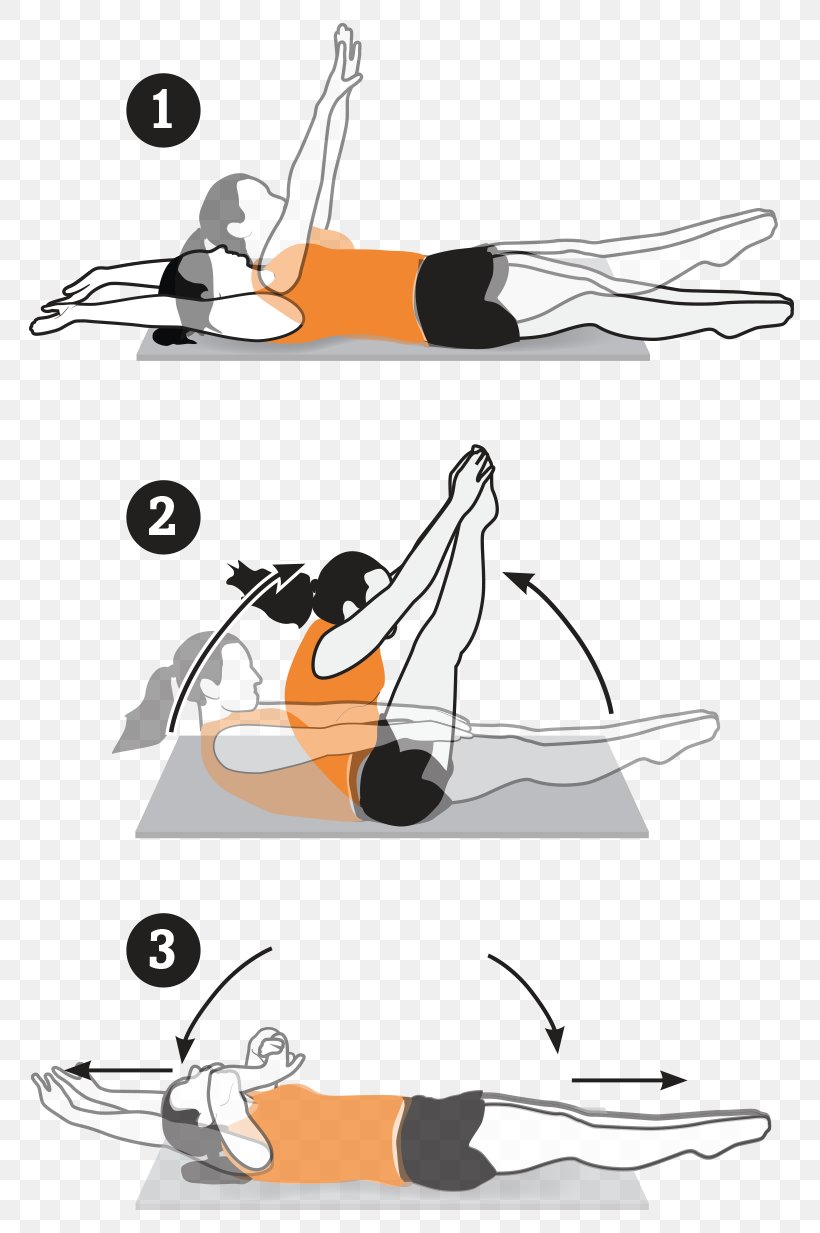 Abdominal Exercise Core Clip Art, PNG, 800x1233px, Exercise, Abdominal Exercise, Arm, Automotive Design, Core Download Free