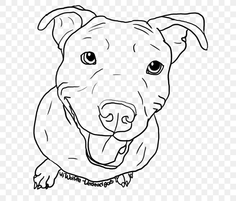 American Pit Bull Terrier Puppy Drawing Line Art, PNG, 629x700px, Pit Bull, American Pit Bull Terrier, Art, Art Museum, Artwork Download Free