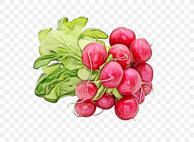 Garden Radish Food Velyki Kopani Vegetable Wholesale, PNG, 600x600px, Watercolor, Anthurium, Flower, Food, Fruit Download Free