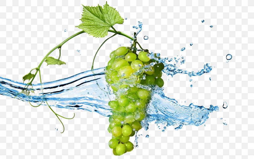 Grape Stock Photography Wine Desktop Wallpaper, PNG, 1500x938px, Grape, Flowering Plant, Food, Fruit, Grapevine Family Download Free