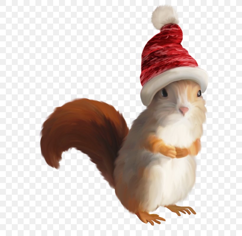 Squirrel Santa Claus Christmas Clip Art, PNG, 642x800px, Squirrel, Beak, Christmas, Christmas Ornament, Christmas Stockings Download Free