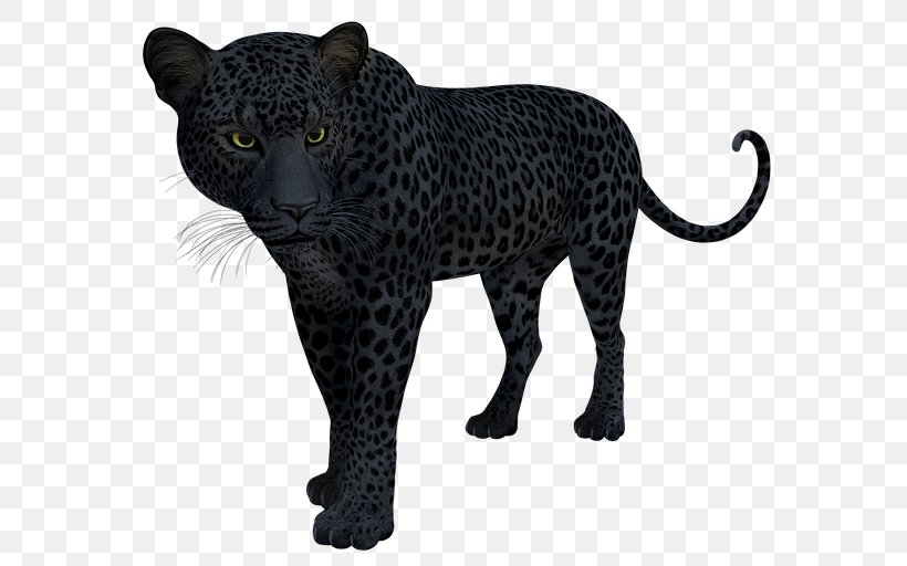 Black Panther Leopard Jaguar Cat T-shirt, PNG, 640x512px, 2018, Black Panther, Animal Figure, Big Cats, Black Download Free