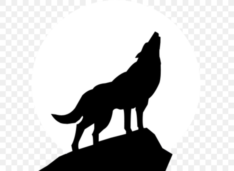 Gray Wolf Stencil Silhouette Art Clip Art, PNG, 599x600px, Gray Wolf, Art, Aullido, Black, Black And White Download Free