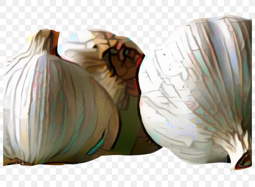 Onion Cartoon, PNG, 800x600px, Onion, Bin Bag, Chives, Clove, Condiment Download Free