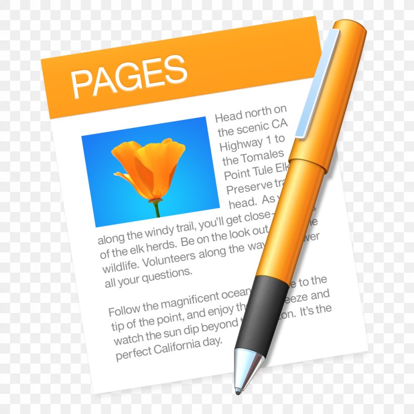 Pages Apple Symbol MacOS Logo, PNG, 1024x1024px, Pages, Apple, Brand, Computer Software, Icloud Download Free