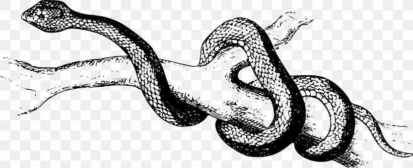 Snake Pit Viper Boa Constrictor Clip Art, PNG, 2396x981px, Snake, Animal, Animal Figure, Art, Artwork Download Free