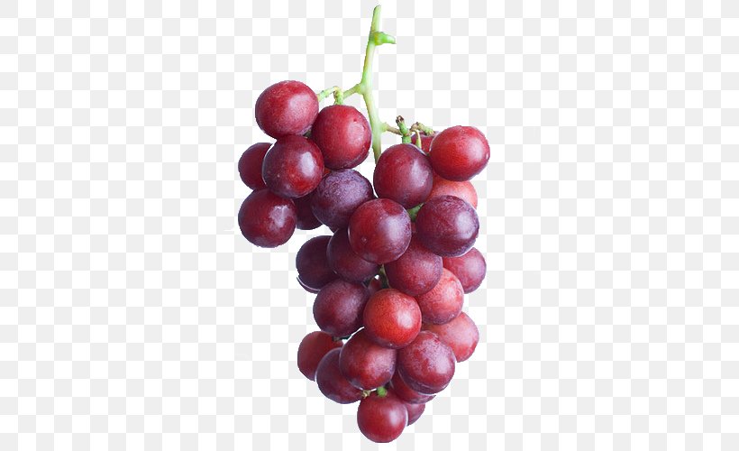 Sultana Zante Currant Common Grape Vine Seedless Fruit Egyptian Cuisine, PNG, 500x500px, Sultana, Berry, Common Grape Vine, Cranberry, Damson Download Free