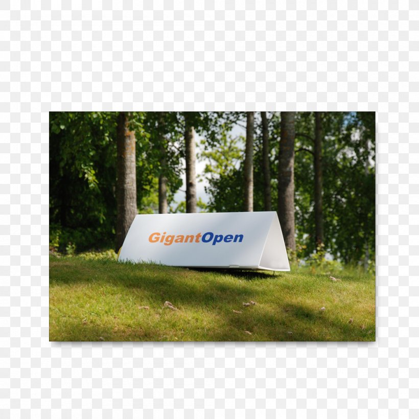 Rectangle, PNG, 1000x1000px, Rectangle, Grass, Sign, Tree Download Free
