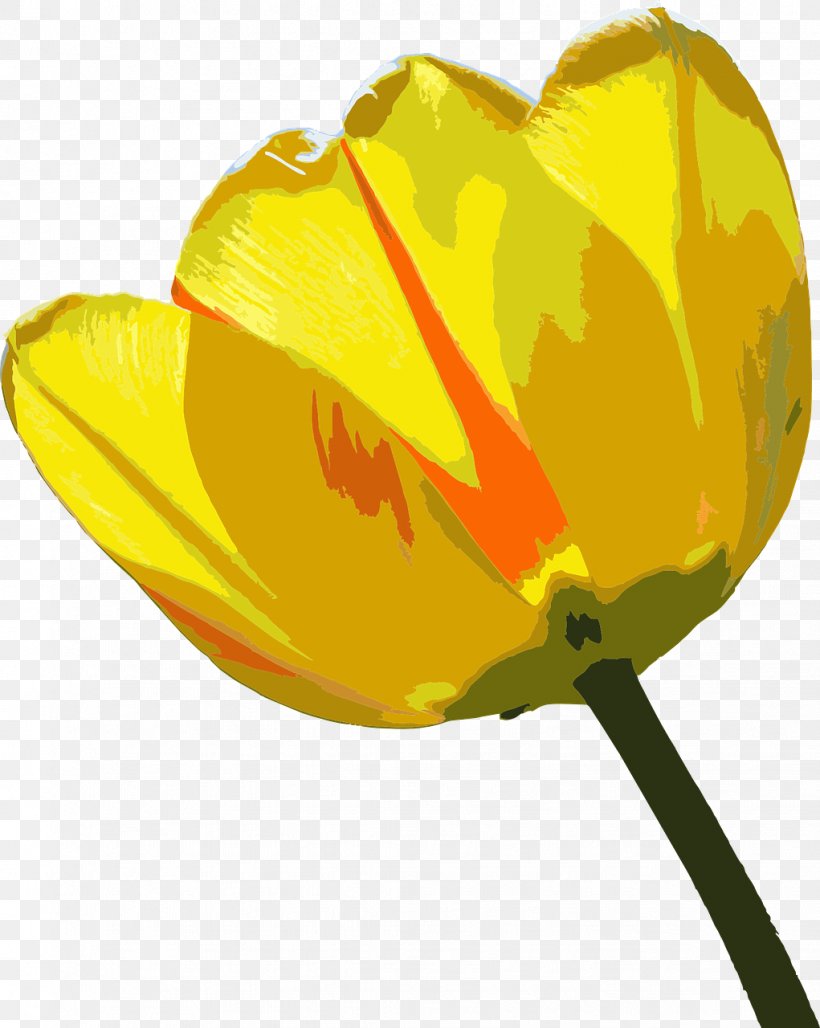 Tulip Flower Clip Art, PNG, 1021x1280px, Tulip, Flower, Flower Garden, Flowering Plant, Fruit Download Free