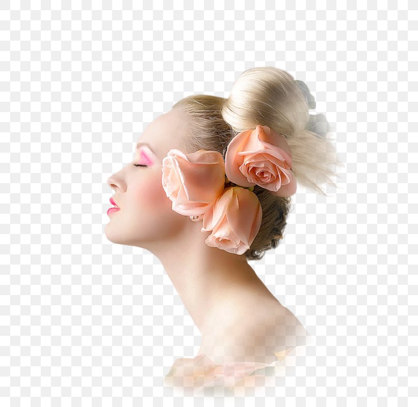 Woman Bride Lorraine Ellison Marriage Hairstyle, PNG, 534x800px, Woman, Beauty, Bride, Bun, Cheek Download Free