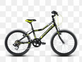 Bicycle - Bicycle BMX Bike Cycling Freestyle BMX PNG