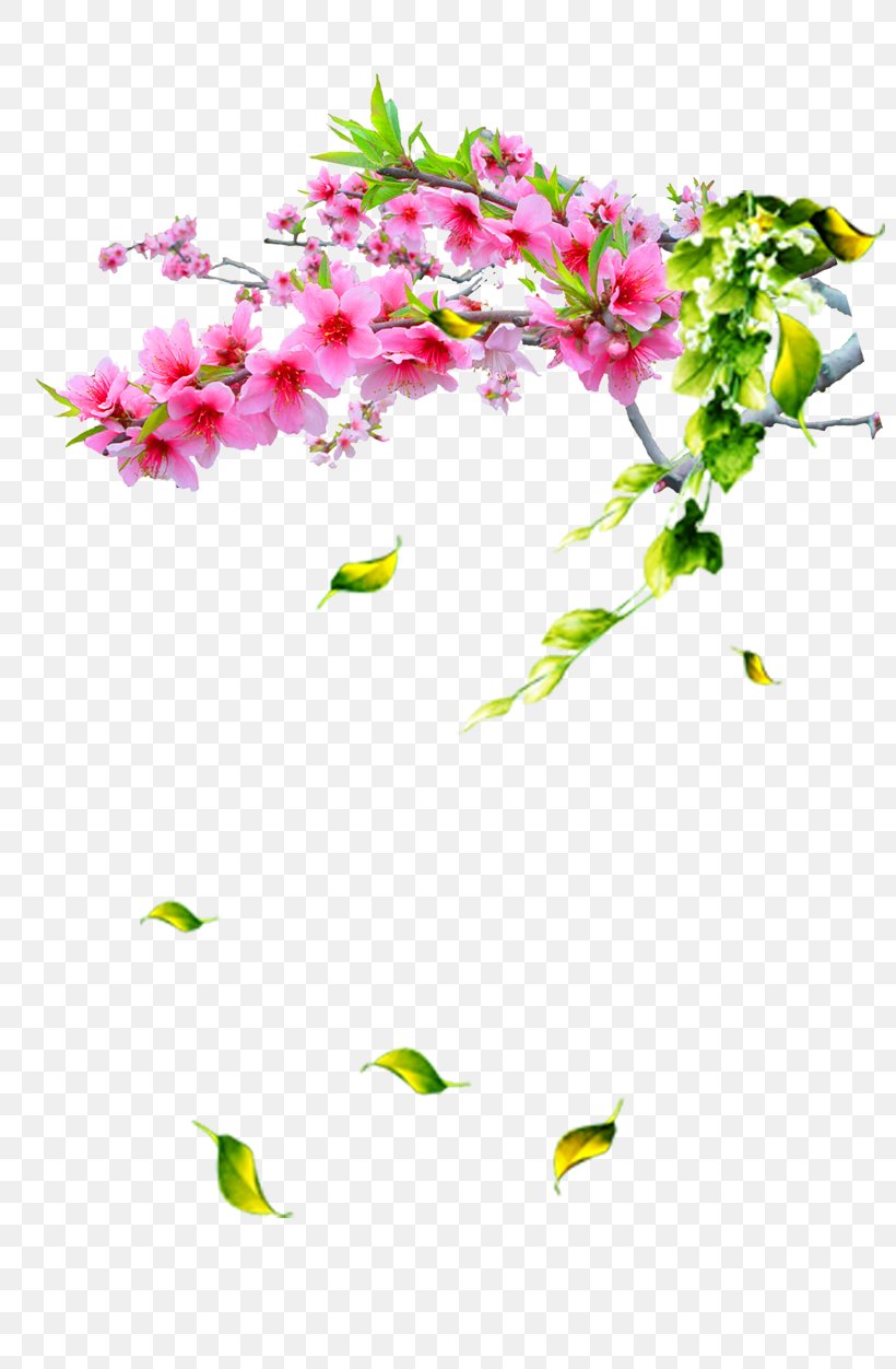 Chinese New Year Peach Clip Art, PNG, 800x1252px, Chinese New Year, Blossom, Branch, Dahlia, Designer Download Free