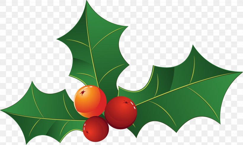 Christmas Decoration Christmas Tree Leaf, PNG, 4044x2416px, Christmas, Aquifoliaceae, Aquifoliales, Branch, Christmas Decoration Download Free