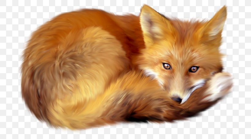 Fox Clip Art, PNG, 740x456px, Fox, Carnivoran, Document, Dog Like Mammal, Fauna Download Free