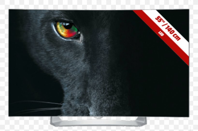 LG EG910V OLED LG Electronics Smart TV, PNG, 1200x800px, 4k Resolution, Oled, Advertising, Brand, Highdefinition Television Download Free