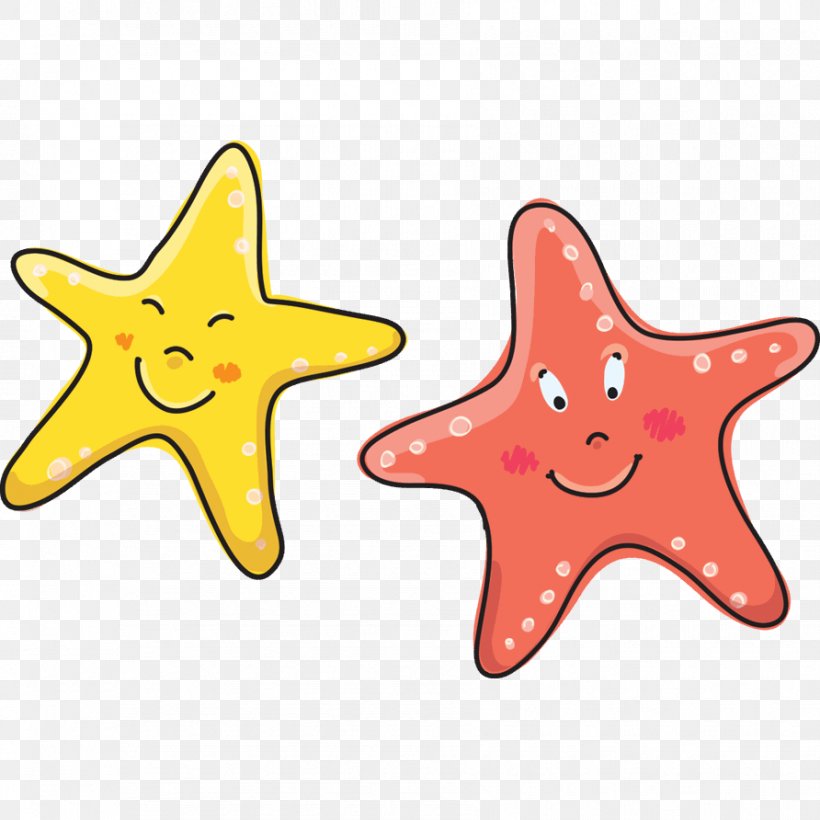 Starfish Sticker Child Sea Room, PNG, 892x892px, Starfish, Adhesive, Animal Figure, Body Jewelry, Child Download Free