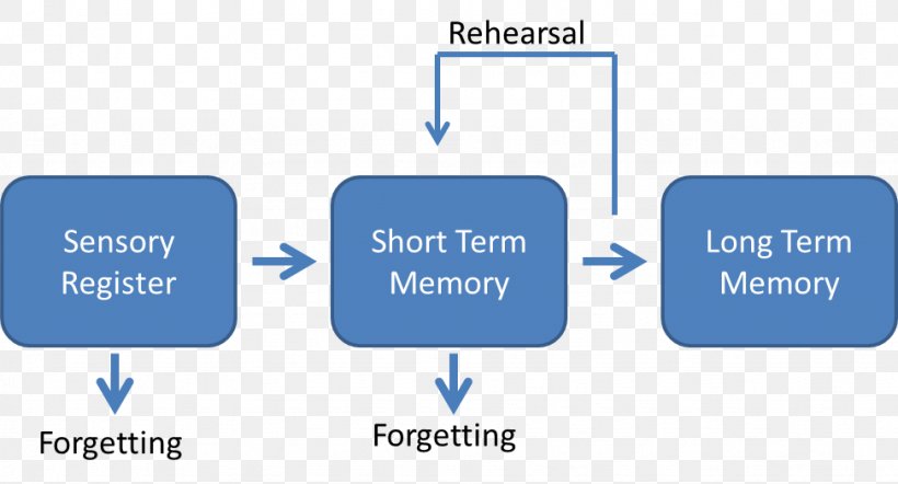 Atkinson–Shiffrin Memory Model Psychology Storage Information, PNG, 973x525px, Memory, Area, Brand, Cheat Sheet, Child Download Free