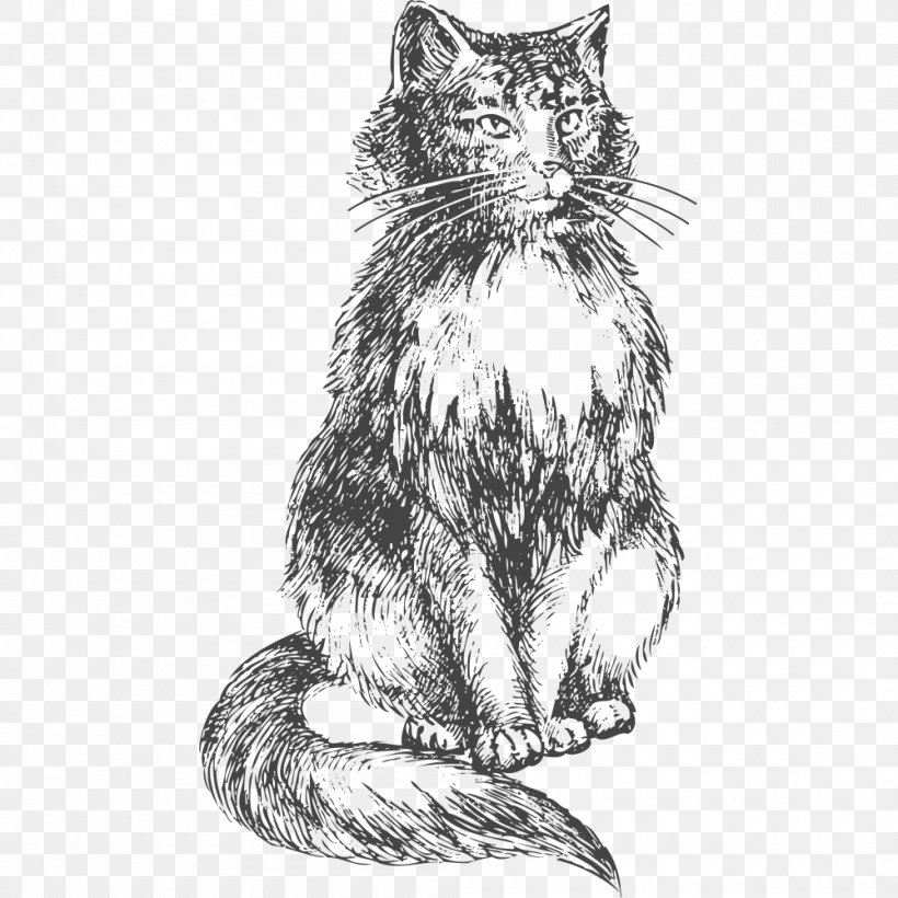 Cat Felidae Vector Graphics Stock Photography Illustration, PNG, 1000x1000px, Cat, Art, Black And White, Black Cat, Carnivoran Download Free
