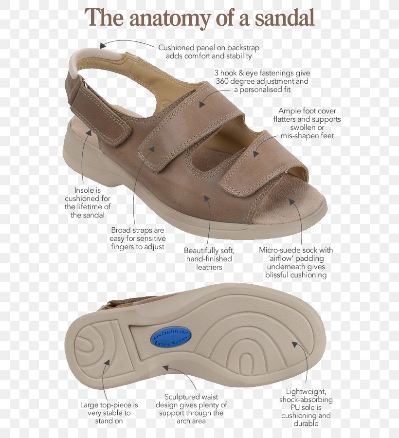 Sandal Shoe, PNG, 600x900px, Sandal, Footwear, Outdoor Shoe, Shoe, Walking Download Free