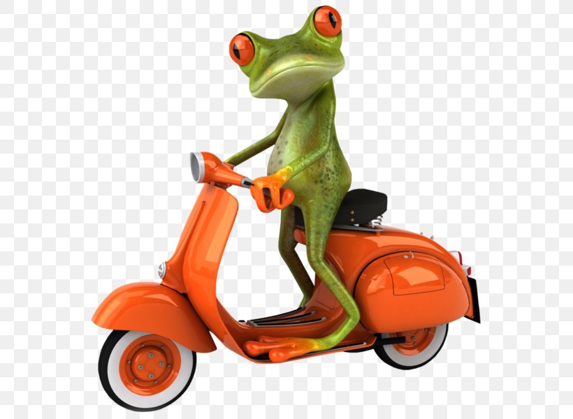 The Tree Frog Desktop Wallpaper, PNG, 600x600px, Frog, Amphibian, Cartoon, Funny Animal, Motorbike Frog Download Free