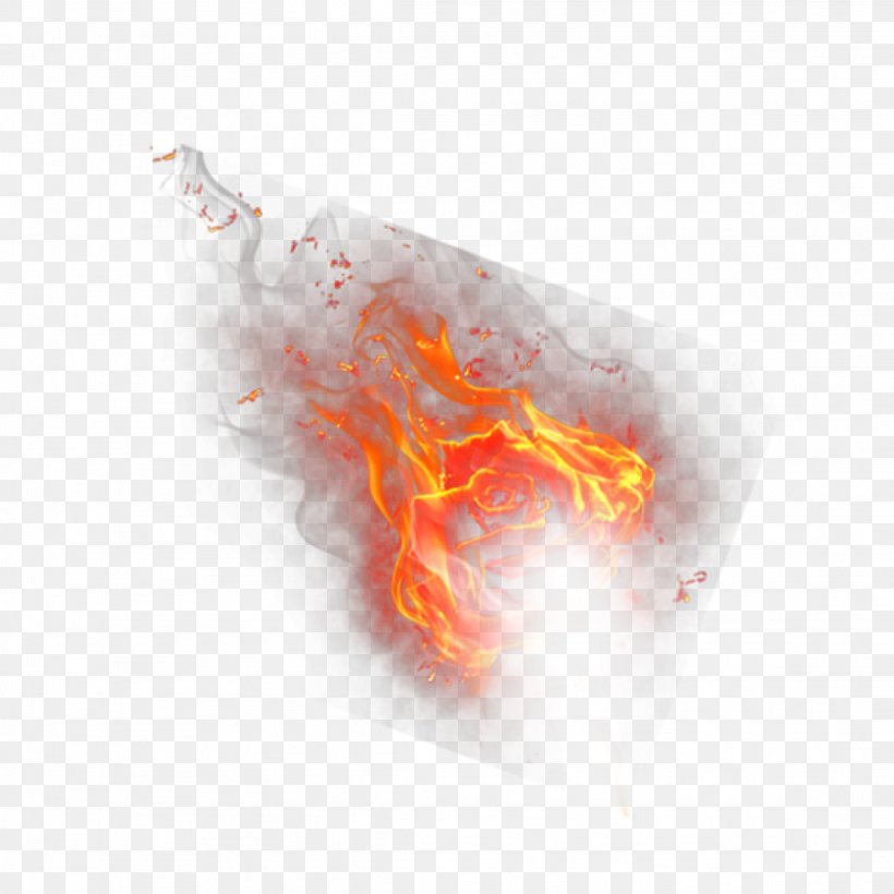 Tiger Flame Fire Image Heat, PNG, 2289x2289px, Tiger, Computer, Conflagration, Digital Image, Drawing Download Free