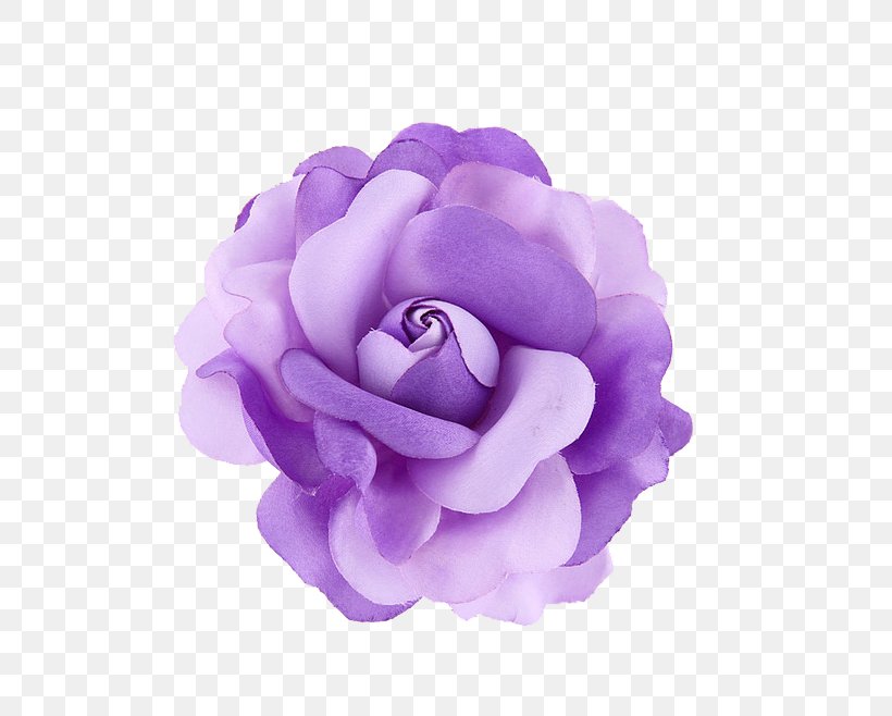 Violet Purple Flower, PNG, 658x658px, Violet, Aliexpress, Artikel, Blue, Color Download Free